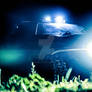 ''Under Cover of Night''
