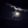 Pink Moon