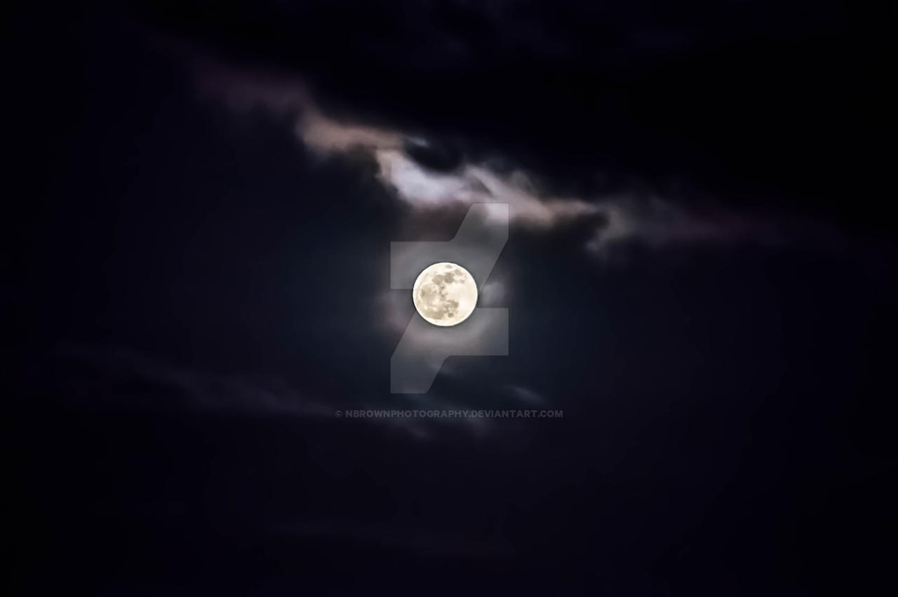 Pink Moon