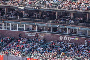 Kruk & Kuip