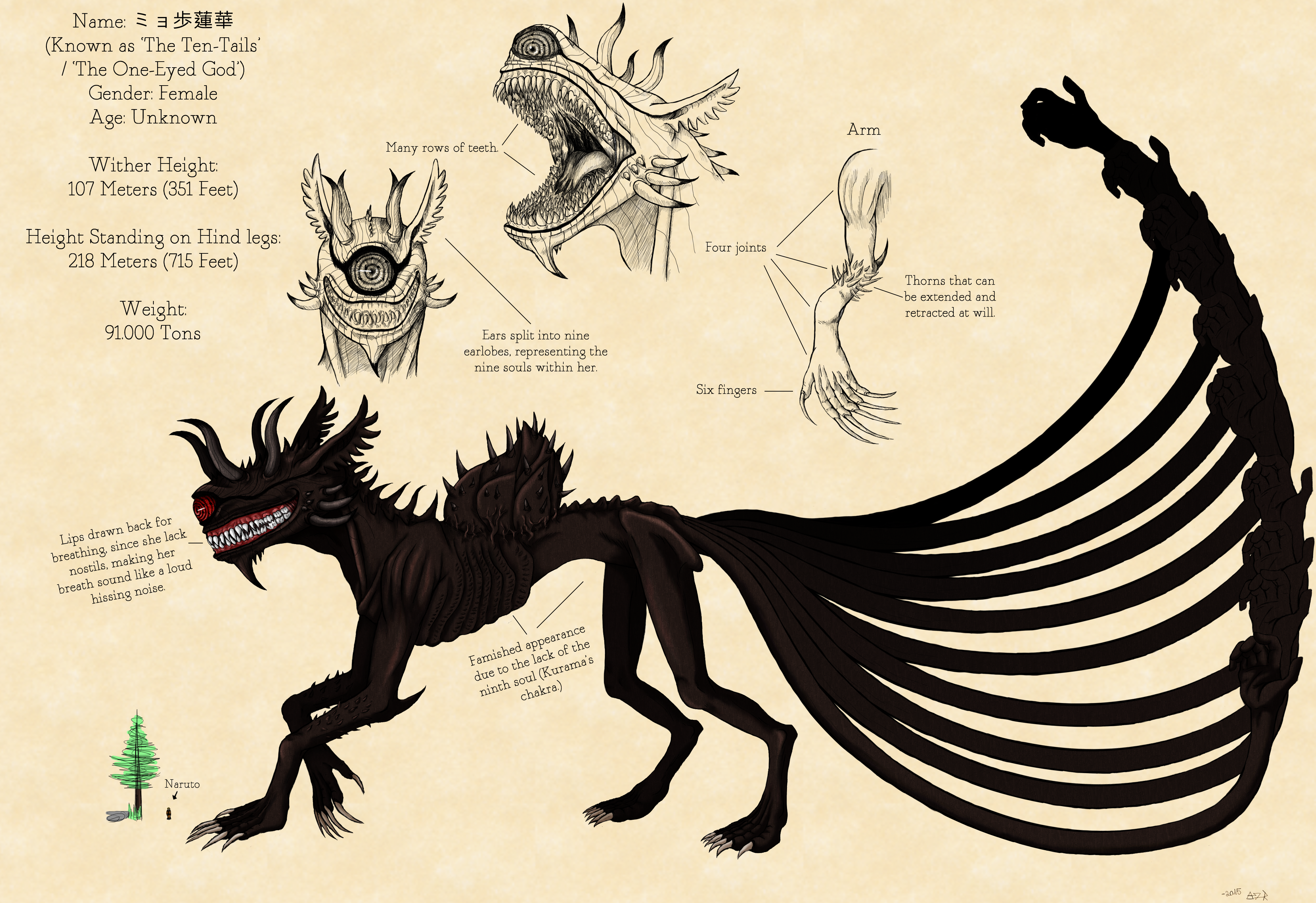 The Ten Tails Character Sheet By Silver Willowwing On Deviantart The Ten Tails Character Sheet By Silver Willowwing On Deviantart