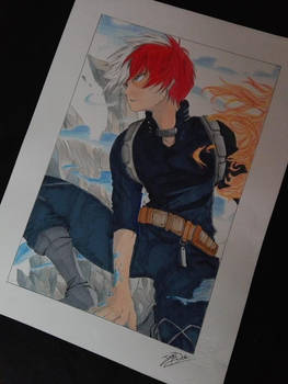 Todoroki Shoto