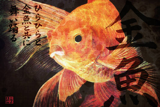 GOLD FISH HAIKU