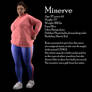 Minerve - Profile card