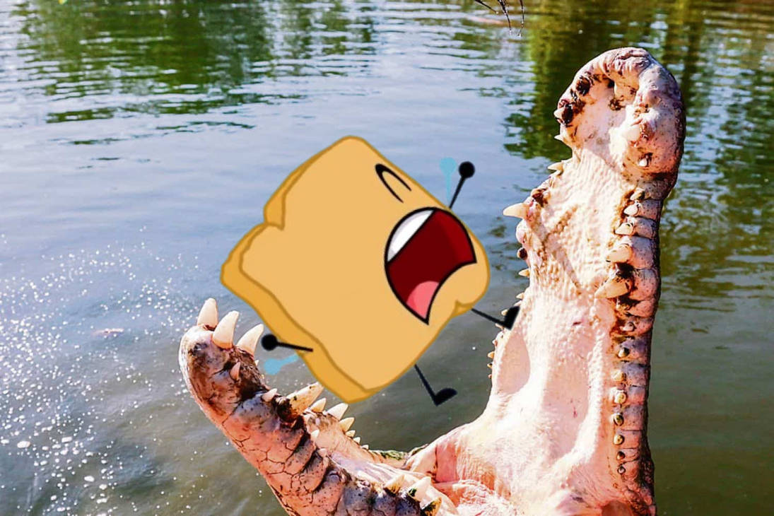 BFDI Woody fell off the hole of the blue slide by zemelo2003 on DeviantArt