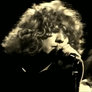 Robert Plant Gif 7