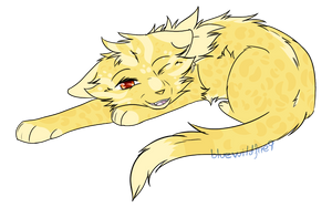 Kitten - Com by BlueWildfire9 Kitten - Com by BlueWildfire9