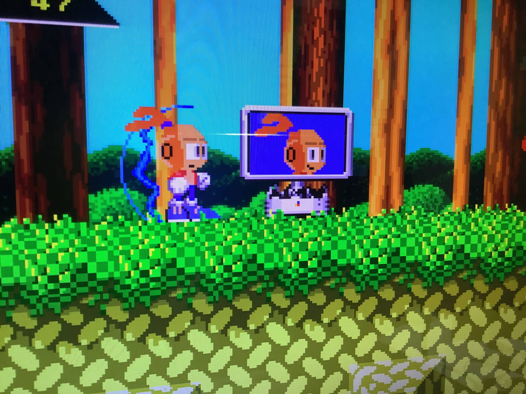 Rolling Rascal Sonic Rollin Rascal In sonic 3 A.I.R. by Kouta2025 on DeviantArt