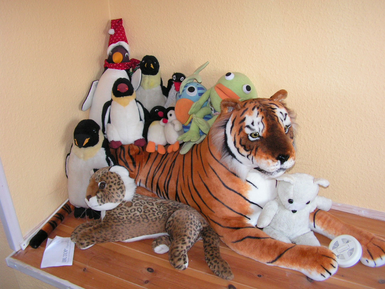 Mr. T and his companions