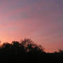Sunrise tax