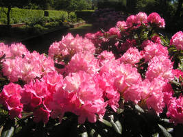 Flower tax
