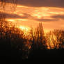 Sunrise tax