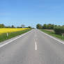Country road and fields
