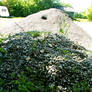 Gravel