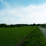 Field and country road