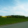 Clouds and rapeseed field