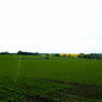 Green field, yellow field