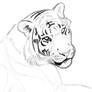 Hewhowalkswithtigers sketch2