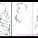 Baboon Drawing How-To