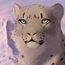 Atanu Snow Leopard