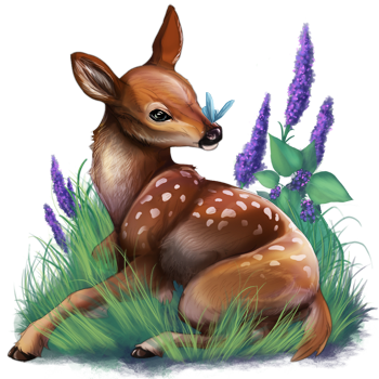 Spring Fawn