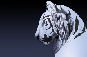 White Tiger