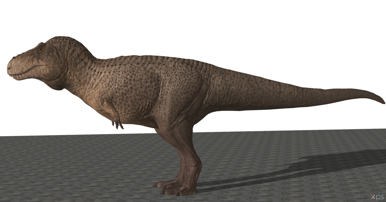 T. Rex Position T. rex Anatomic Position (Medial Plane) by Templar-Dragonknight on ...
