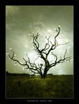 Knowledge Tree by jagscupid