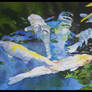 Koi
