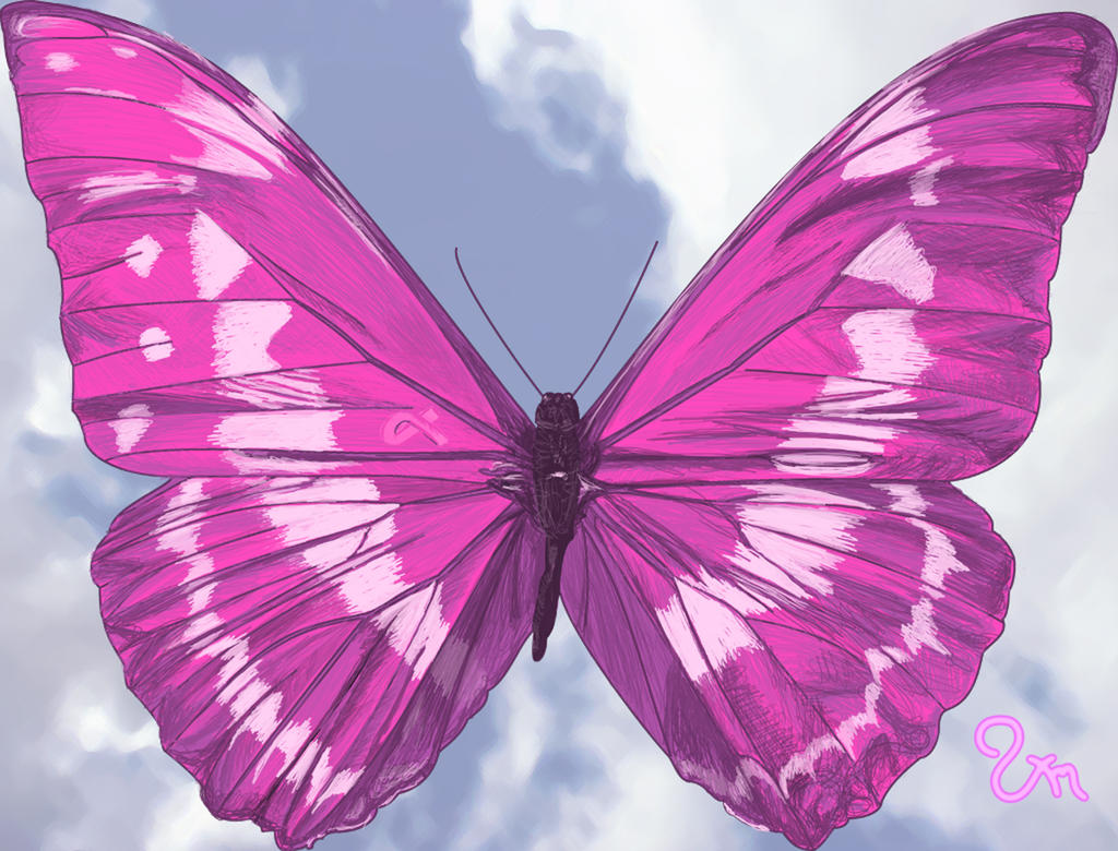 Белая розовая бабочка. Бабочки. Розовые бабочки. Красивые бабочки.
