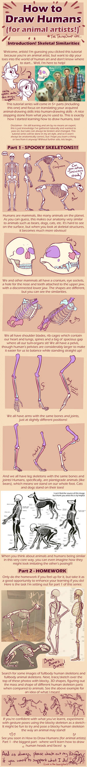 HOW TO DRAW HUMANS (for animal artists) Intro