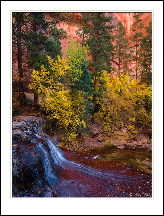 Autumn Oasis