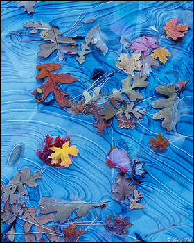 Autumn Leaves in Ice