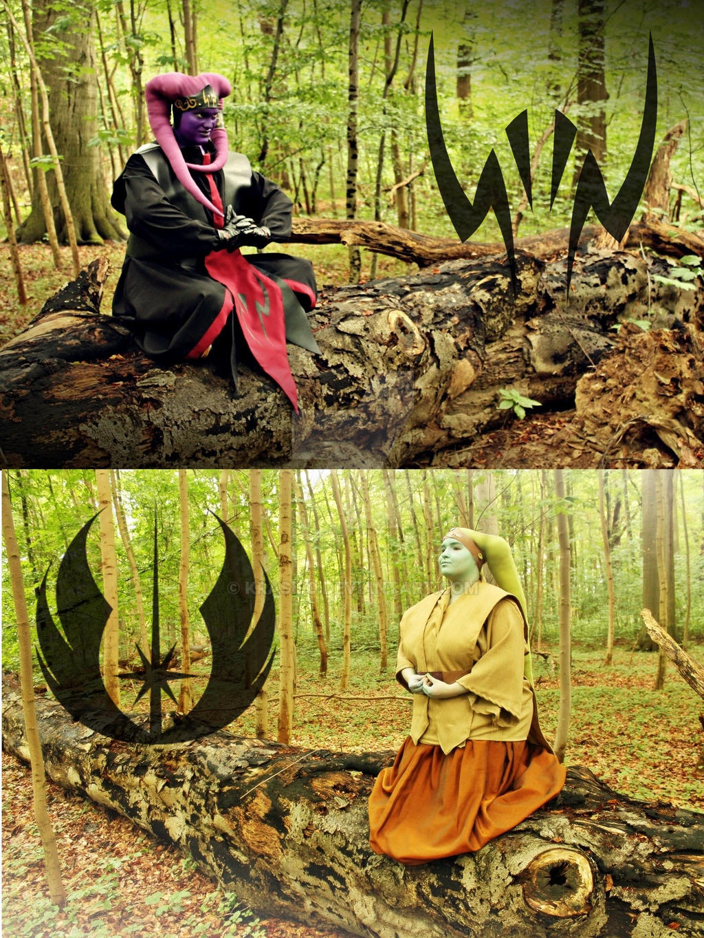 Sith and Jedi meditation