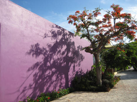 Purple Wall