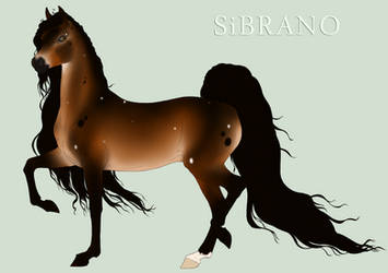 Sibrano Import 2013 By Equneinc - point sale