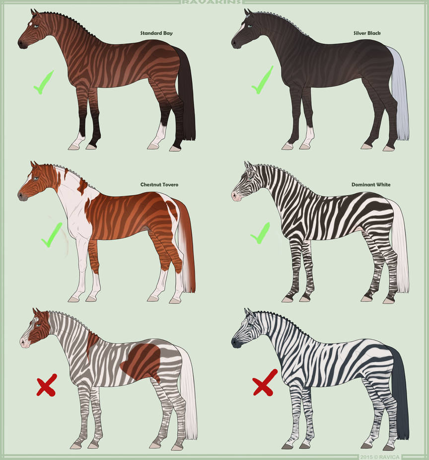 Mutation Chart Zebra by Danesippi on DeviantArt