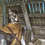 Skyrim- Warai The Khajiit