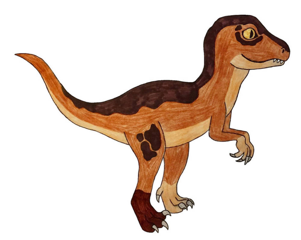 Baby Raptor Ase Baby Raptor Adoptable by Coraline15 on DeviantArt