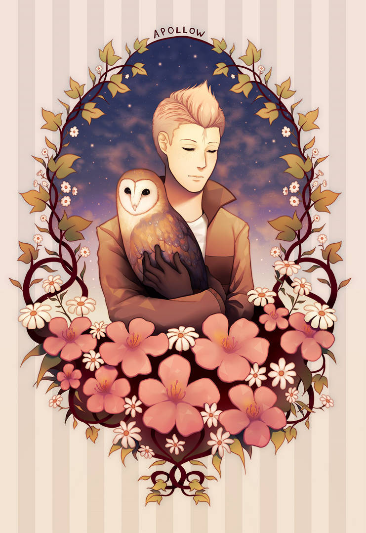 Apollow, owl of dusk. by longestdistance