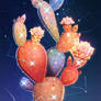 Constellation cactus.