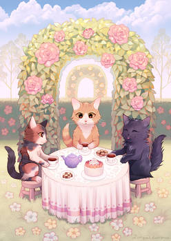 Kitten tea party.