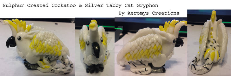 Sulphur Crested Cockatoo Silver Tabby Cat Gryphon