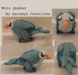 Mini Quaker Parrot