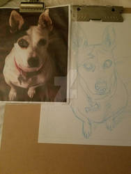 Rendering of Rosco commissioned artwork 