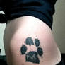 Dog Print Tattoo