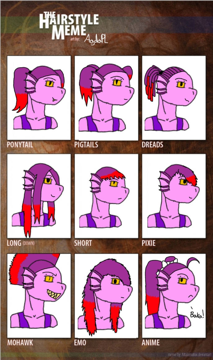 Hairstyle meme - Susdyne by AgdaPL on DeviantArt