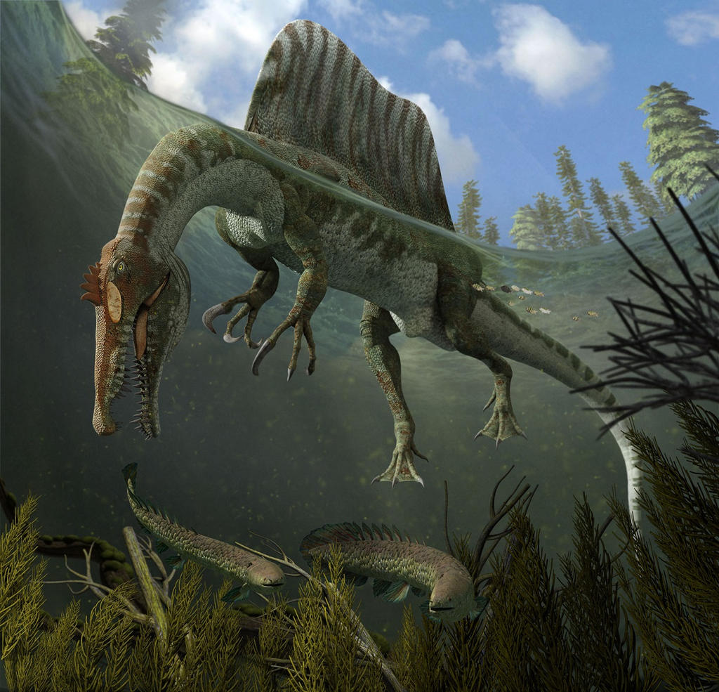 Spinosaurus Hunting In The Water By WillDinoMaster55 On DeviantArt spinosaurus-hunting-in-the-water-by-willdinomaster55-on-deviantart