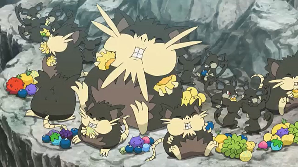 Alolan Rattatas, Raticates and the Totem Raticate by WillDinoMaster55 ...