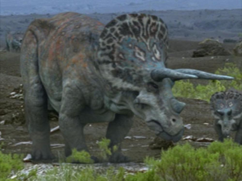 Triceratops